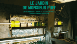 BLOC ARTISTIQUE WILD STREAM1
