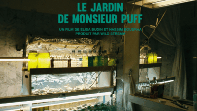 BLOC ARTISTIQUE WILD STREAM1