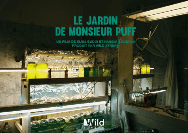 BLOC ARTISTIQUE WILD STREAM1